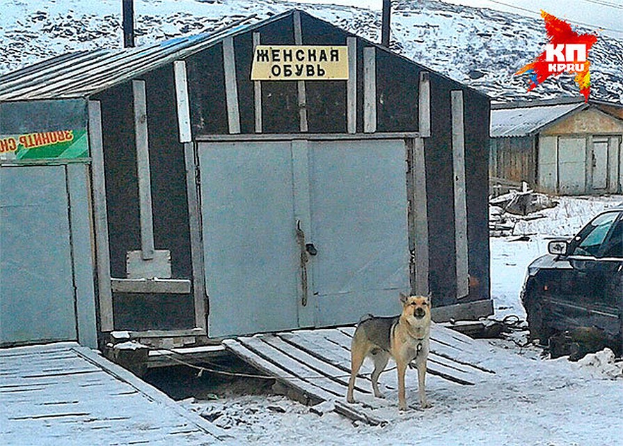 Фото из архива Валерия Гришко.