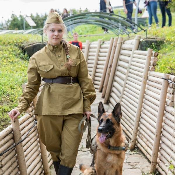 День фронтовой собаки