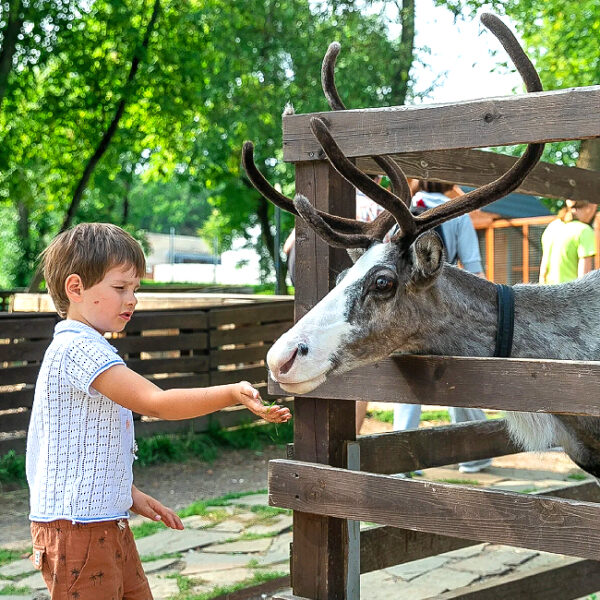 День рождения Городской фермы