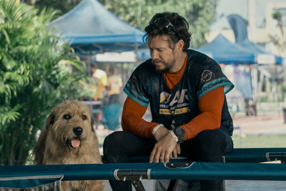 Рецензия на фильм «Артур, ты король» (2024): плюсы и минусы мелодрамы о любви мужчины и собаки