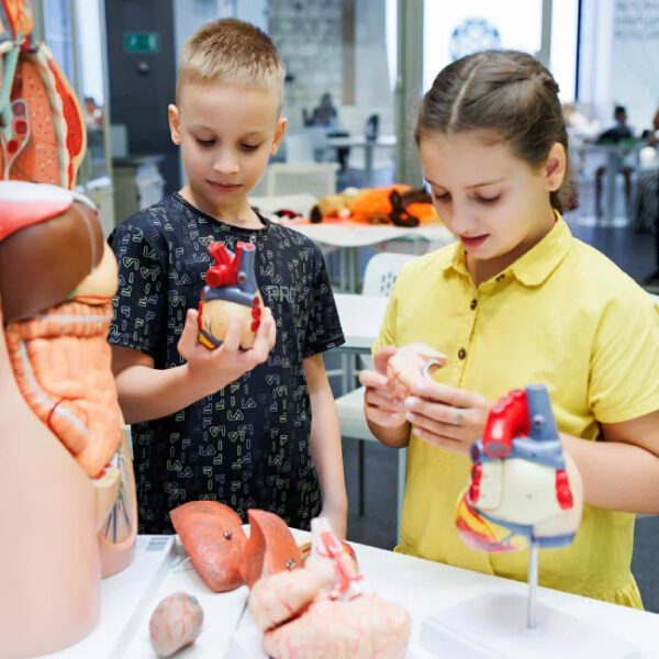 Фестиваль МЕДФЕСТ