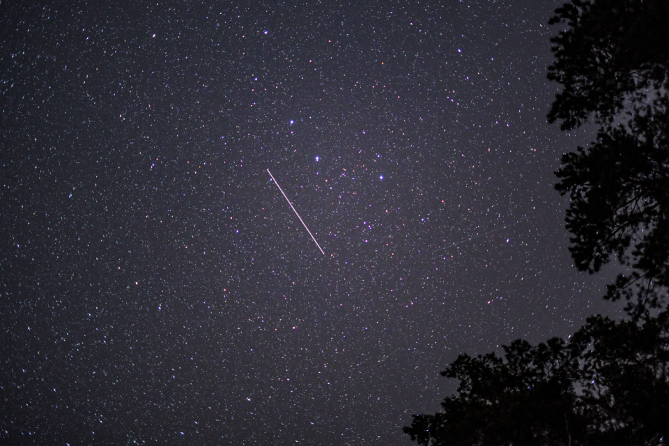 В ноябре 2025 года в Москве пройдут звездопад Леонид и небесные спектакли Урана