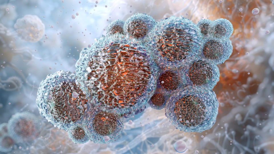 Уреаплазма