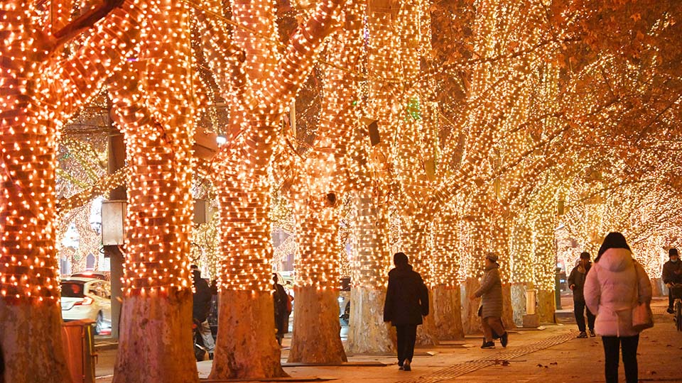 11 лучших уличных морозостойких гирлянд в 2025 году