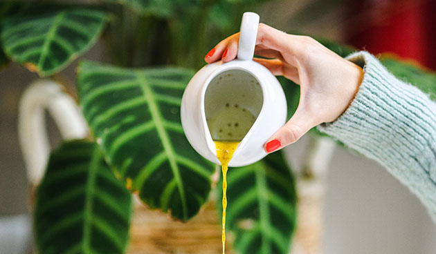 Заправка для салата из лимонного сока