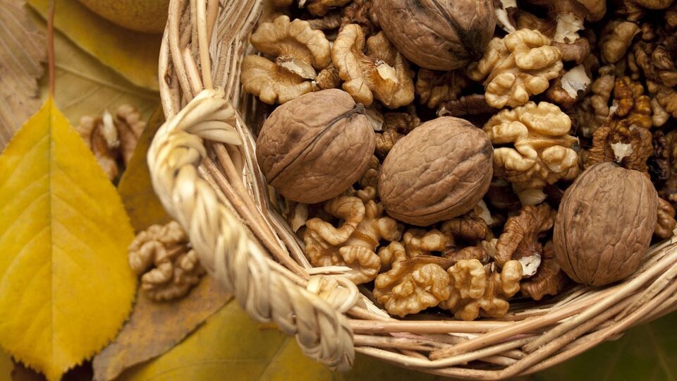 Ореховый Спас 2026: традиции и дата празднования