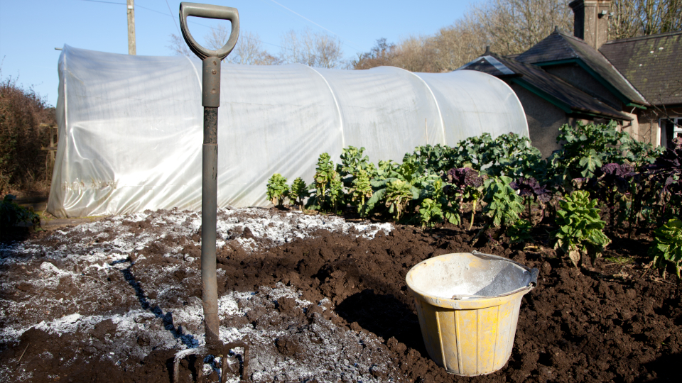 Доломитовая мука