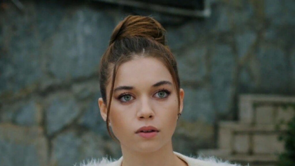 Афру Сарачоглу высмеяли за ее слова о Сейран из «Зимородка»