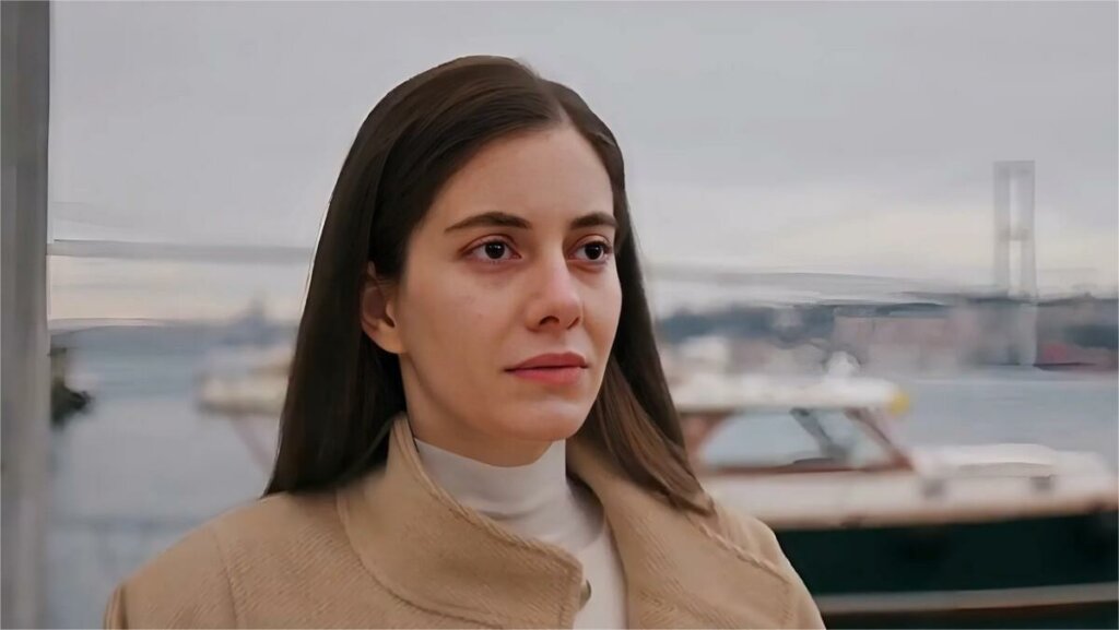 Пропажа Сейран и развод Суны: вот что увидят зрители в 90-й серии «Зимородка»