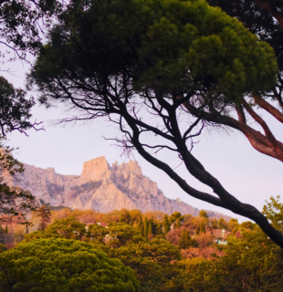 вид на ай-петри