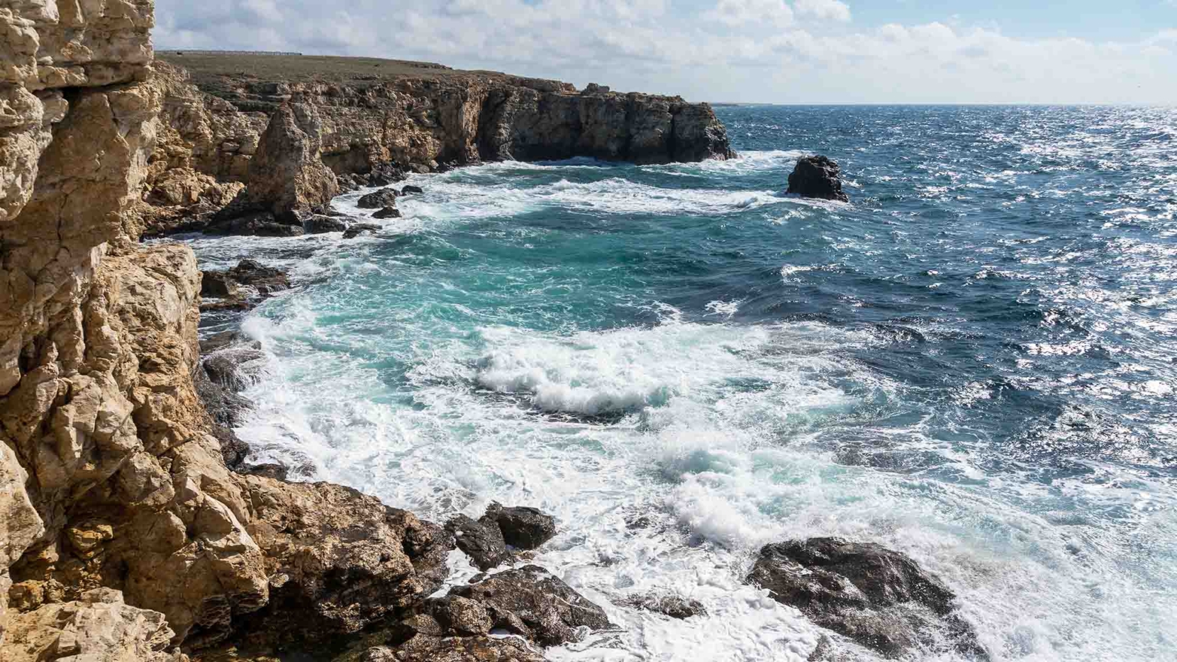 Отзыв о Пляжи в с. Оленевка (Россия, Крым) Очень чистое и прозрачное море!