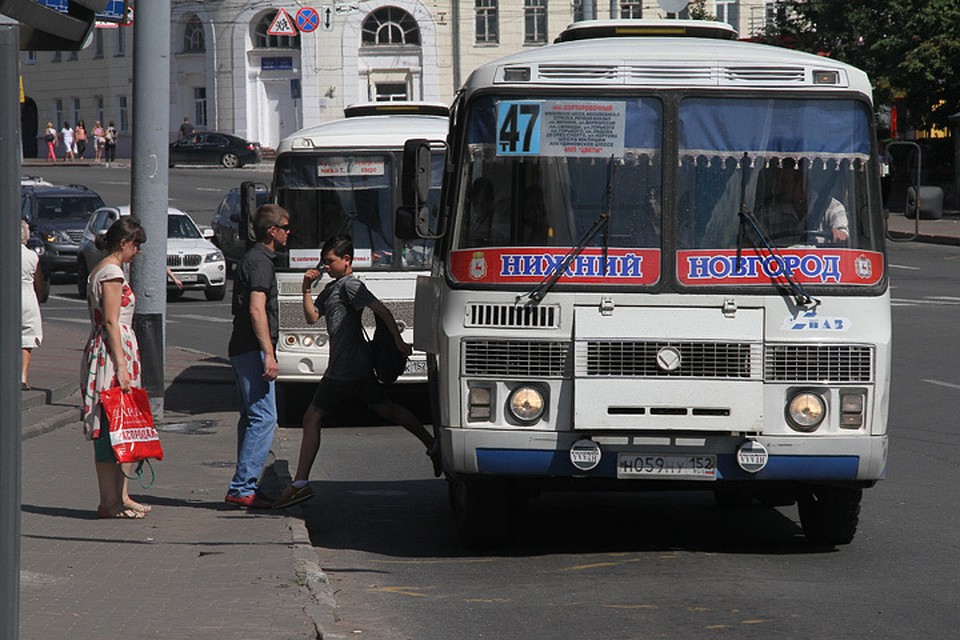 В автобусе утеряна шапка нижний новгород, примеры сочинений по году литературы и какие документы необходимо иметь при управлении тс В автобусе утеряна шапка нижний новгород