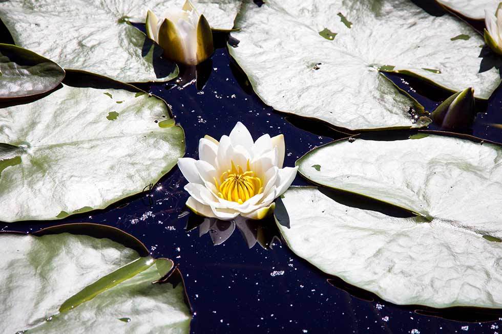 Фото: информационный центр туризма республики Тыва