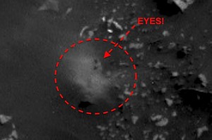 &ETH;&ETH;&deg;&Ntilde;&Ntilde;&ETH;&cedil;&ETH;&frac12;&ETH;&ordm;&ETH;&cedil; &ETH;&iquest;&ETH;&frac34; &ETH;&middot;&ETH;&deg;&ETH;&iquest;&Ntilde;&ETH;&frac34;&Ntilde;&Ntilde; &ETH;&Ntilde;&Ntilde;&ETH;&raquo;&ETH;&micro;&ETH;&acute;&ETH;&frac34;&ETH;&sup2;&ETH;&deg;&Ntilde;&ETH;&micro;&ETH;&raquo;&ETH;&cedil; &ETH;&frac34;&ETH;&plusmn;&ETH;&frac12;&ETH;&deg;&Ntilde;&Ntilde;&ETH;&para;&ETH;&cedil;&ETH;&raquo;&ETH;&cedil; &ETH;&frac12;&ETH;&micro;&ETH;&frac34;&ETH;&plusmn;&Ntilde;&Ntilde;&ETH;&frac12;&Ntilde;&Ntilde; &Ntilde;&Ntilde;&ETH;&plusmn;&Ntilde;&Ntilde;&ETH;&deg;&ETH;&frac12;&Ntilde;&ETH;&cedil;&Ntilde; &ETH;&frac12;&ETH;&deg; &ETH;&ETH;&deg;&Ntilde;&Ntilde;&ETH;&micro;