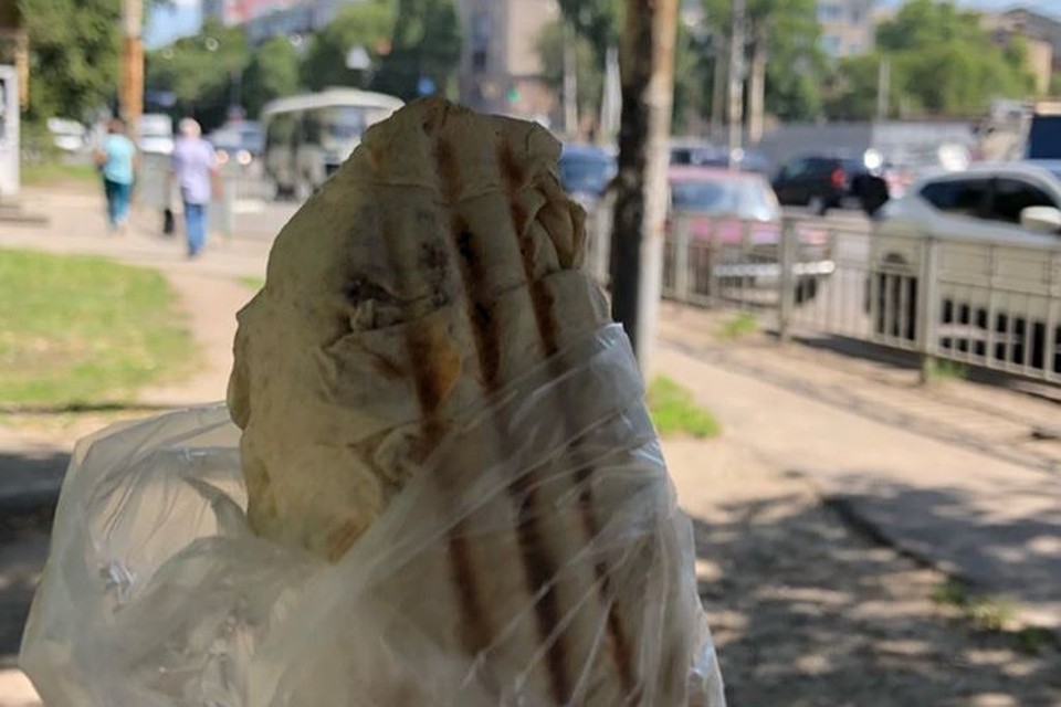 В шаурме из воронежского киоска нашли кишечную палочку