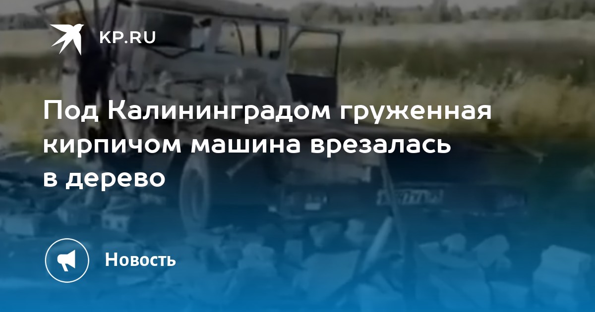 Под Калининградом груженая кирпичом машина врезалась в дерево - Vimarsana News