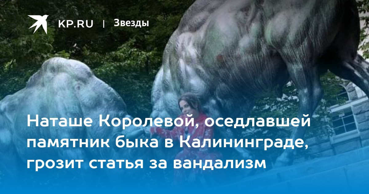 «Почему вы меня не держите?!» Наташа Королева оседлала быка в Калининграде - Vimarsana News