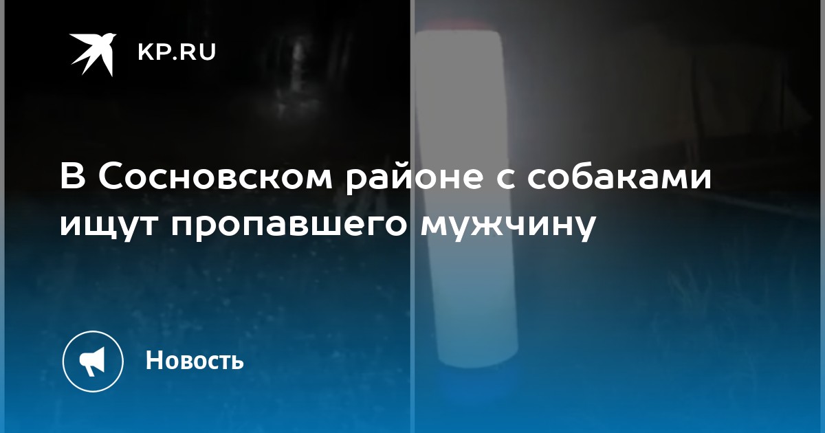 В Сосновском районе с собаками ищут пропавшего мужчину - Vimarsana News