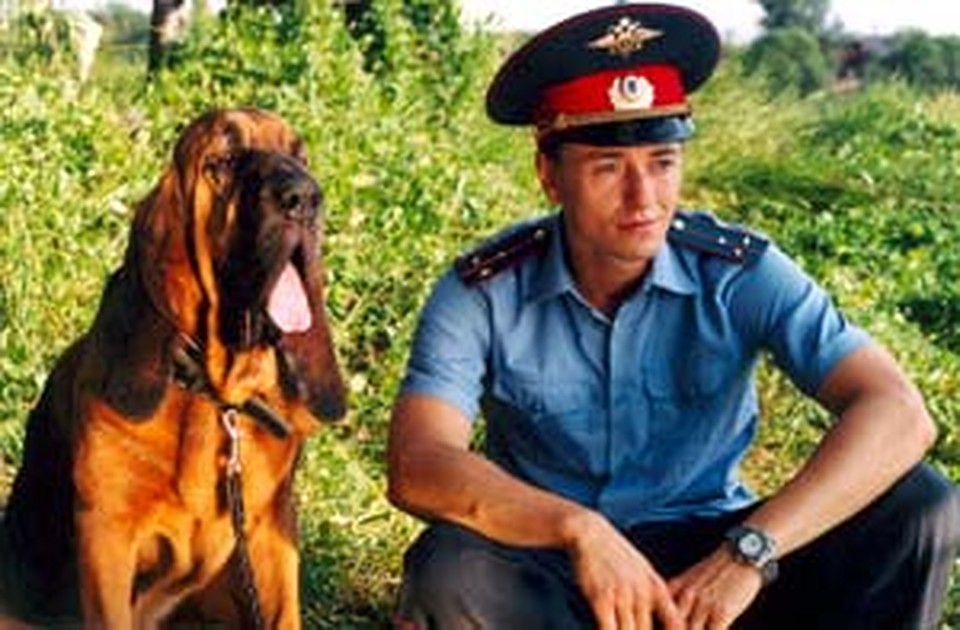 Фильм участковый с сергеем безруковым черепашки ниндзя в 2003 игра нано
