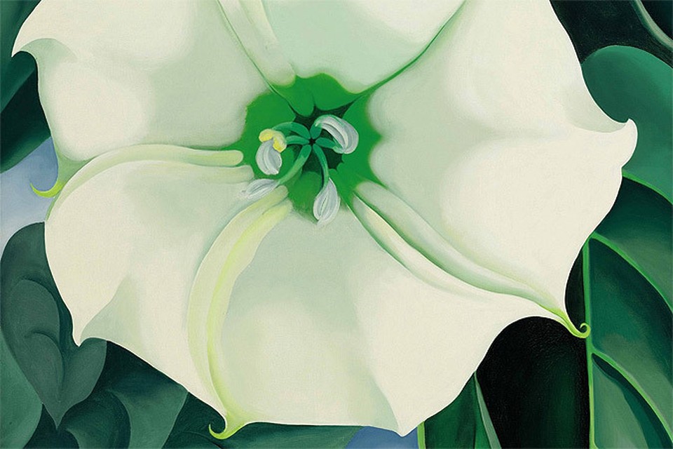 Организаторы торгов рассчитывали выручить за полотно не более 15 млн долларов.