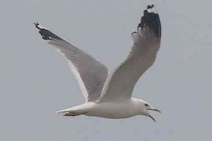 Фото: КемГУ