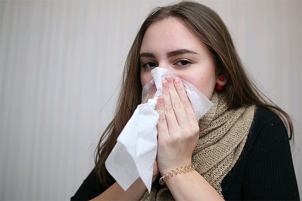 цветы гортензии уход и размножение в домашних условиях фото