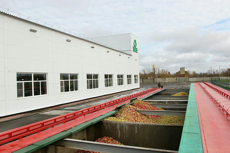 Сады придонья производитель. Ртищево сады придонья. Сады придонья волгоград. Сады придонья ртищево. Сады придонья волгоград парк.