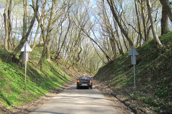 Живописная дорога к замку Бальга.