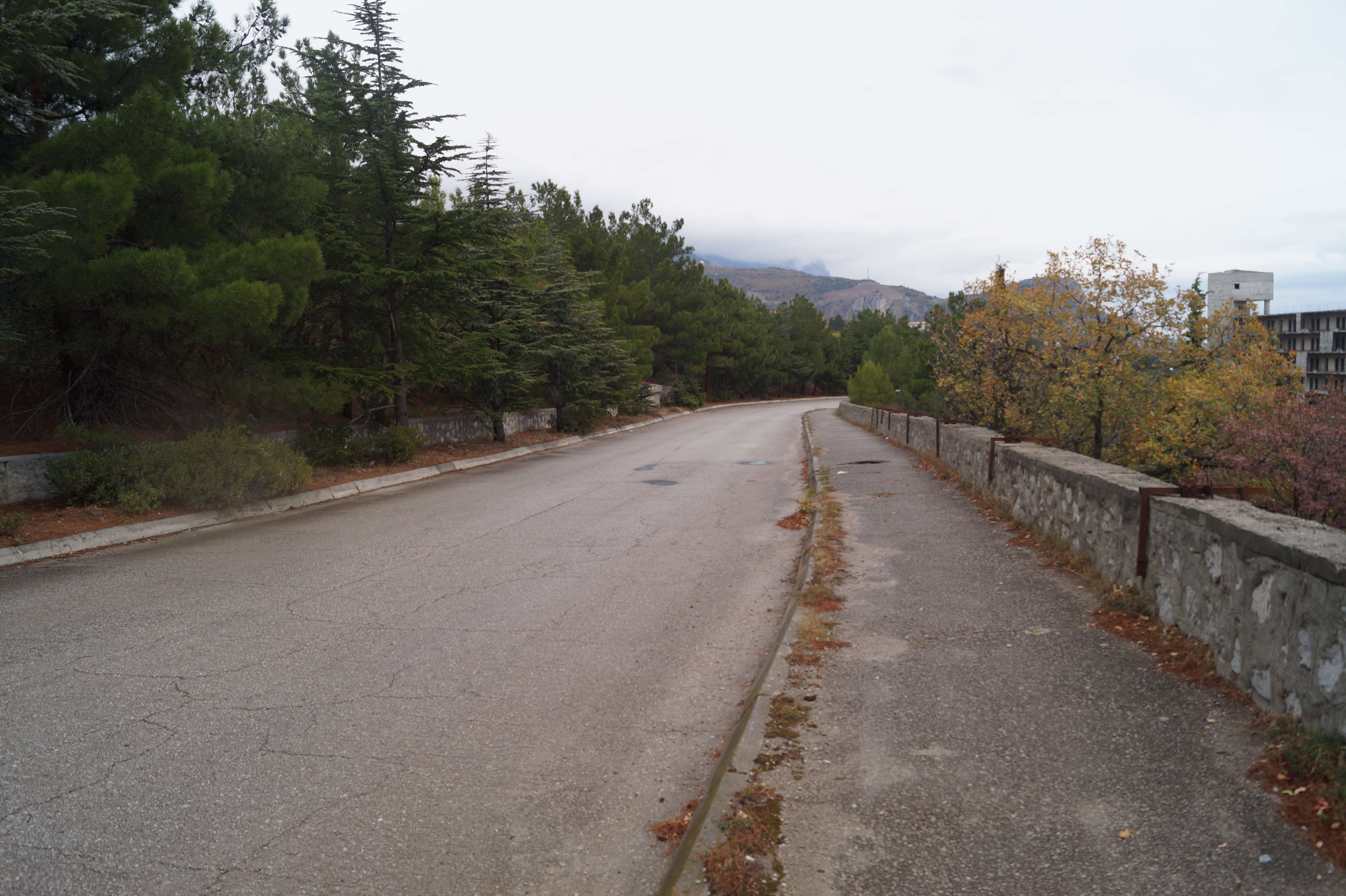 Рядом с выделенным под игорную зону участком - хорошая дорога. Но до нее еще надо доехать