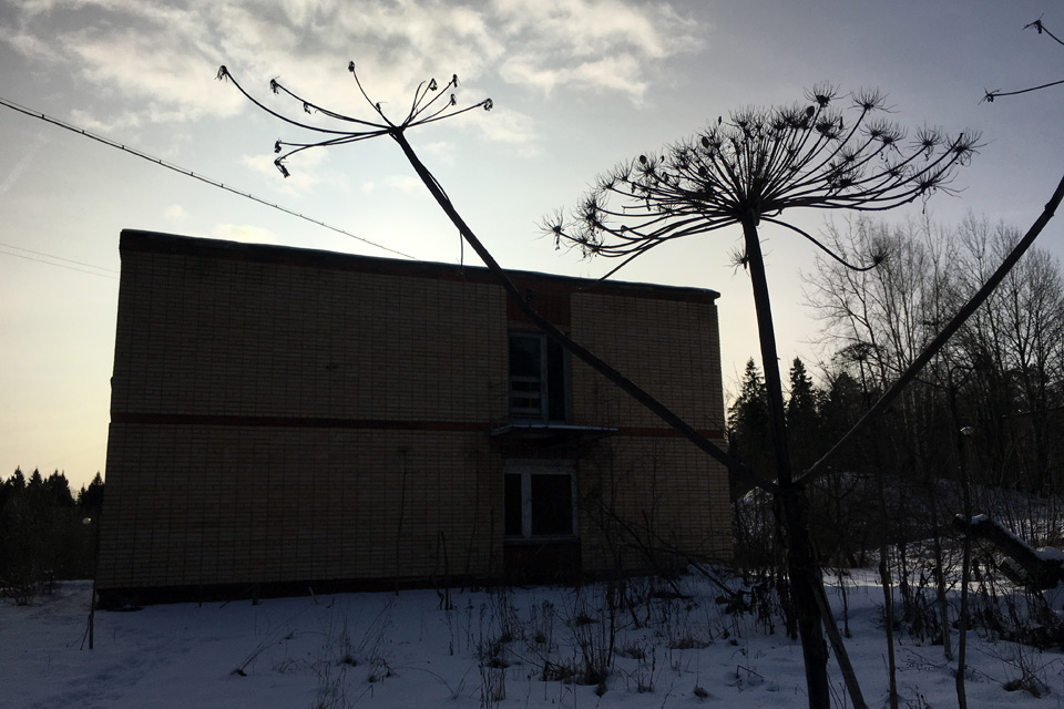 Вид у бывшего центра отдыха для детей теперь мрачный и заброшеный