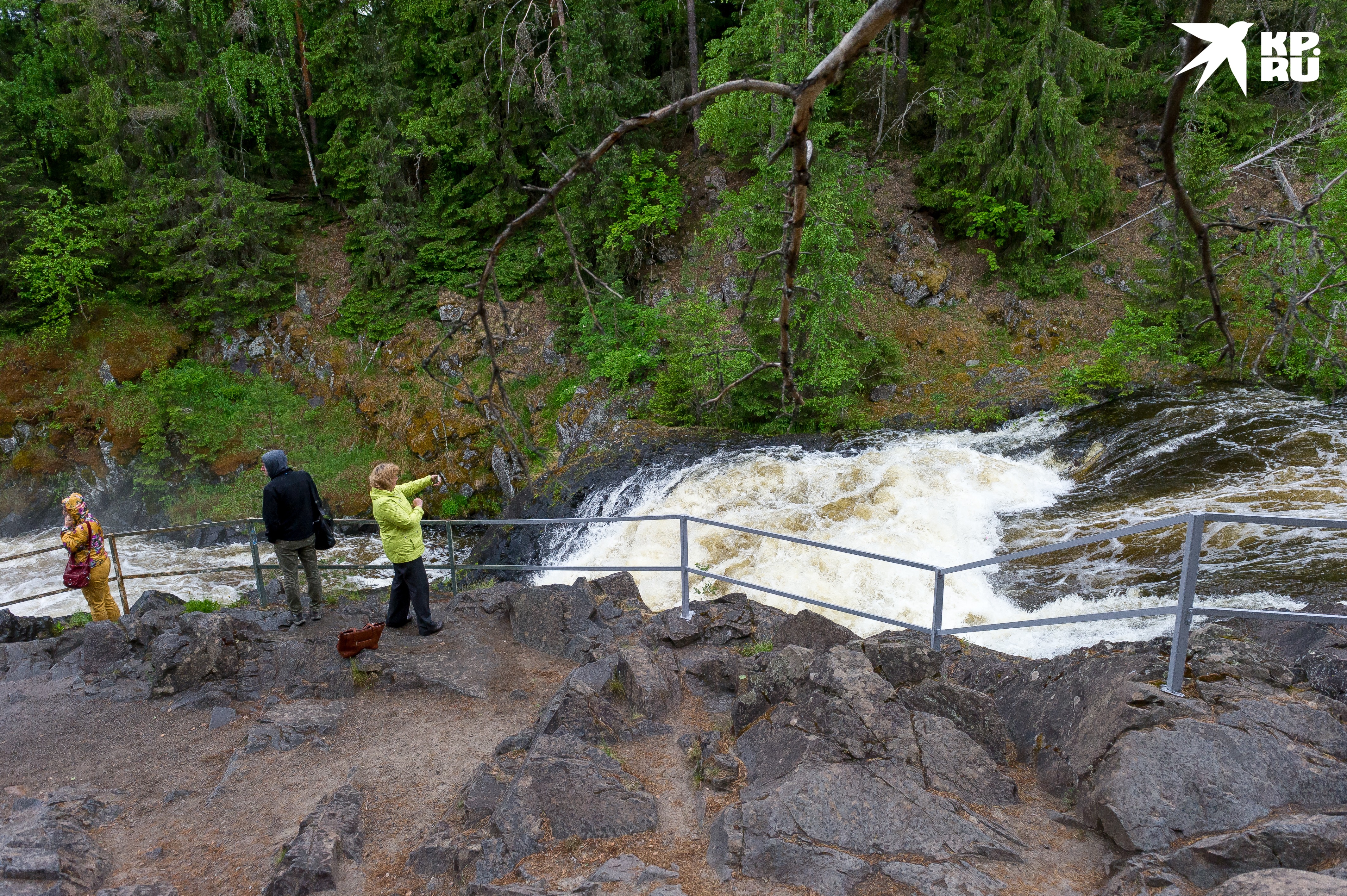 Туры в Карелию всегда были популярны, но этим летом - особенно.