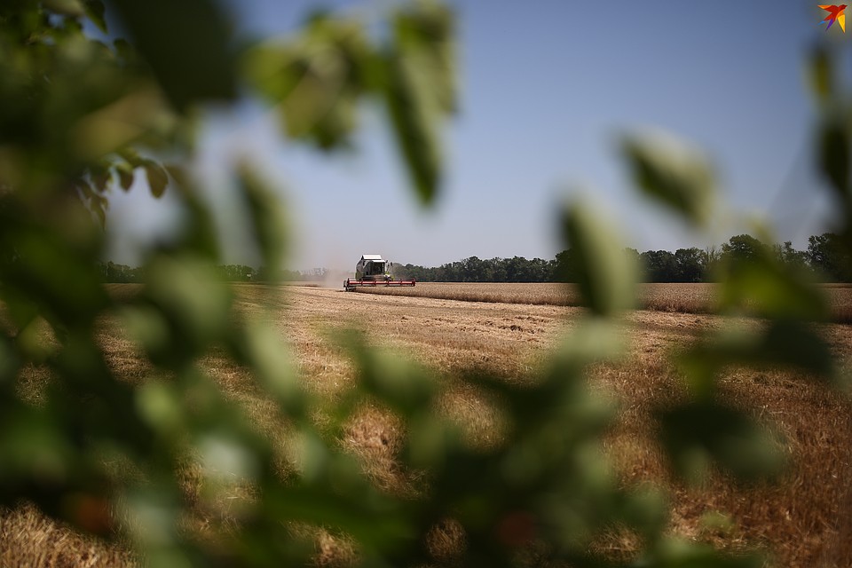 ������ ������� �� ������ ����: ������� ������