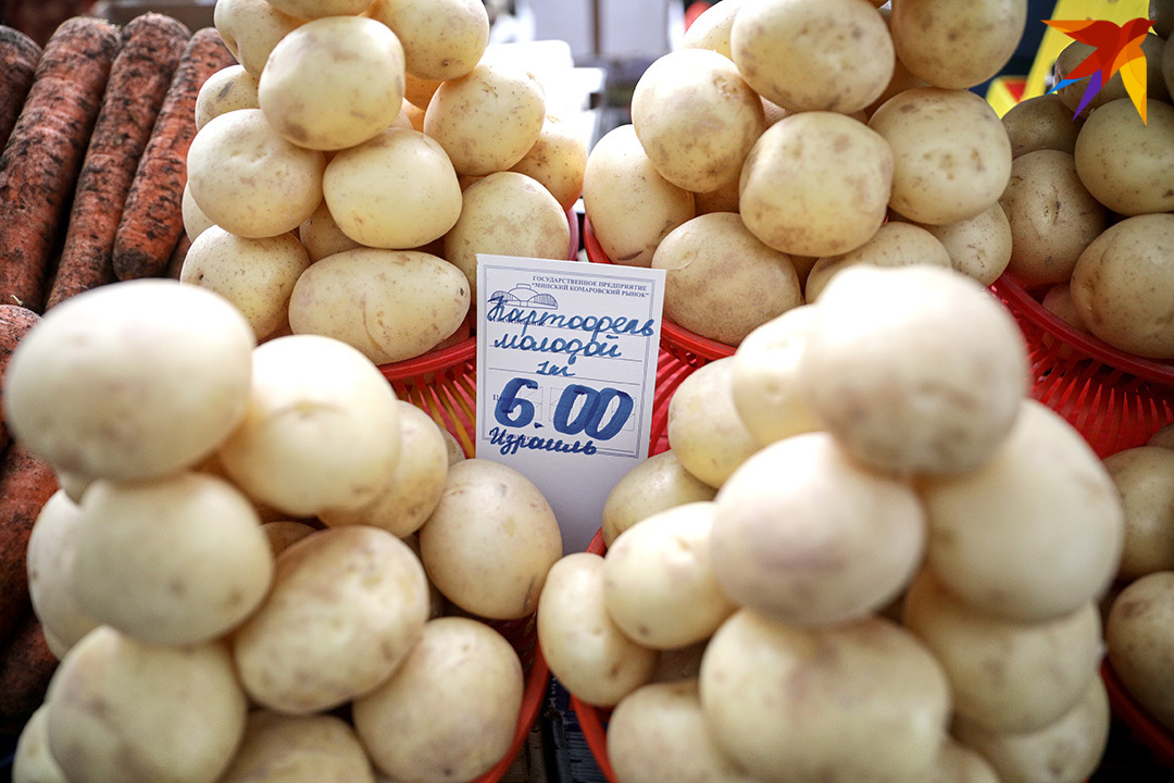 по чем огурцы на комаровке сегодня. Смотреть фото по чем огурцы на комаровке сегодня. Смотреть картинку по чем огурцы на комаровке сегодня. Картинка про по чем огурцы на комаровке сегодня. Фото по чем огурцы на комаровке сегодня по чем огурцы на комаровке сегодня. Смотреть фото по чем огурцы на комаровке сегодня. Смотреть картинку по чем огурцы на комаровке сегодня. Картинка про по чем огурцы на комаровке сегодня. Фото по чем огурцы на комаровке сегодня