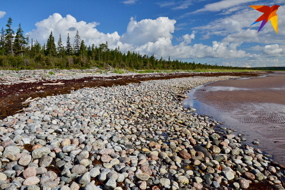 Терский берег в принципе можно назвать одним большим пляжем у Белого моря.