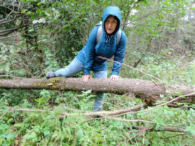 Человек в лесу. Заблудившиеся в лесу 4. Заблудившиеся в лесу 4. Мальчик заблудился в лесу фотография. Заблудился в городе.