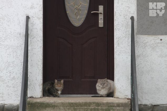 878599 баня марьина горка у дубовика