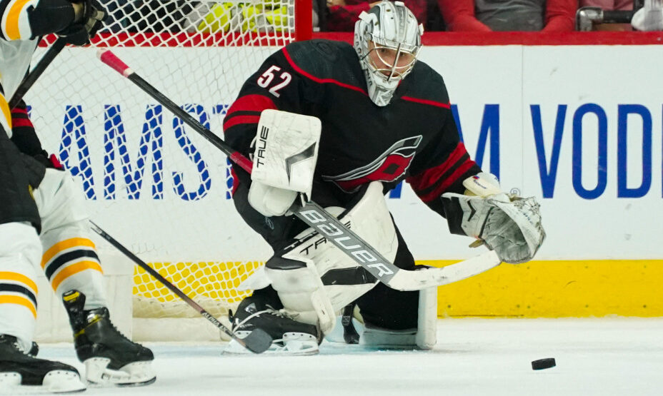 Петр Кочетков, хоккей