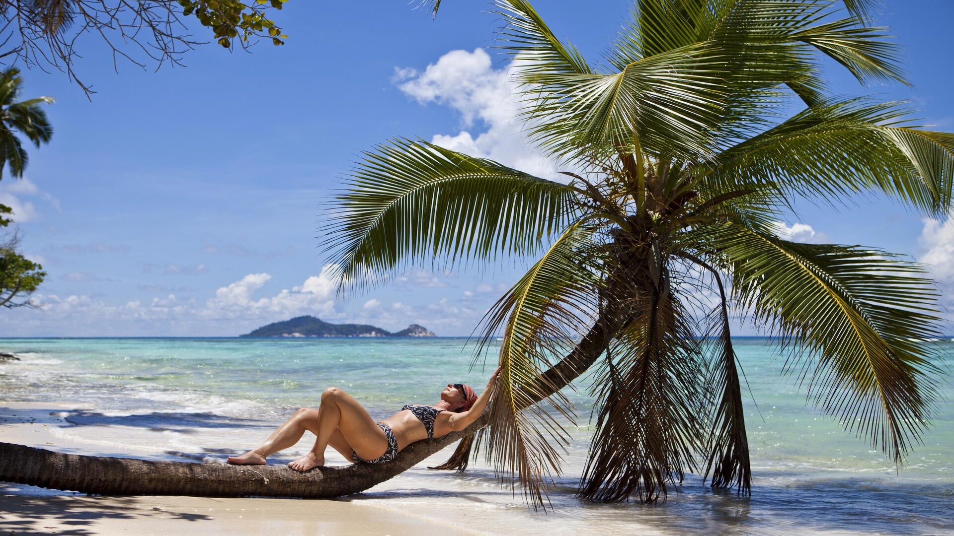 Женщина отдыхает на кокосовой пальме, Анс-ла-Пасс, остров Силуэт.