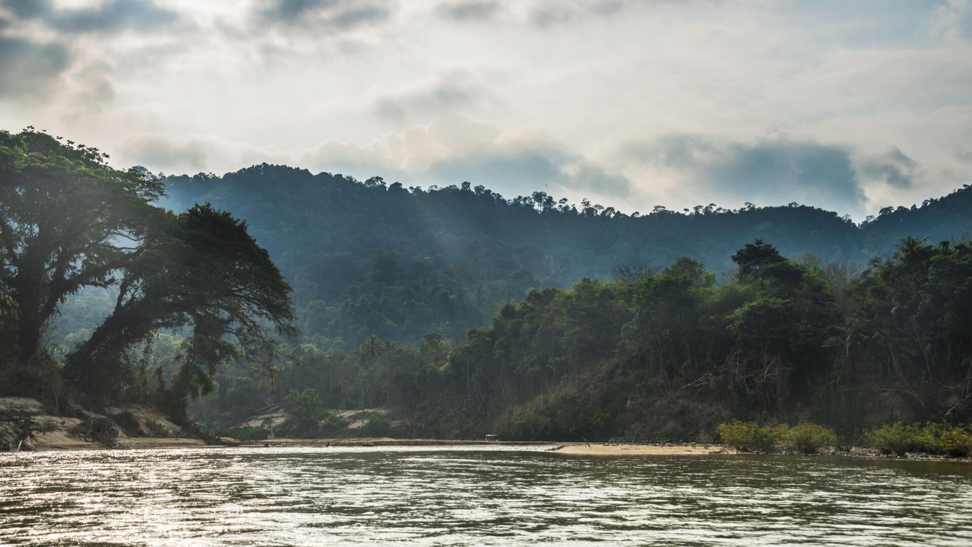 Река Тембелинг в тропическом лесу Таман-Негара, Куала-Тахан.